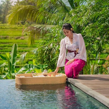Padi Luwih Villa Ubud Kültér fotó