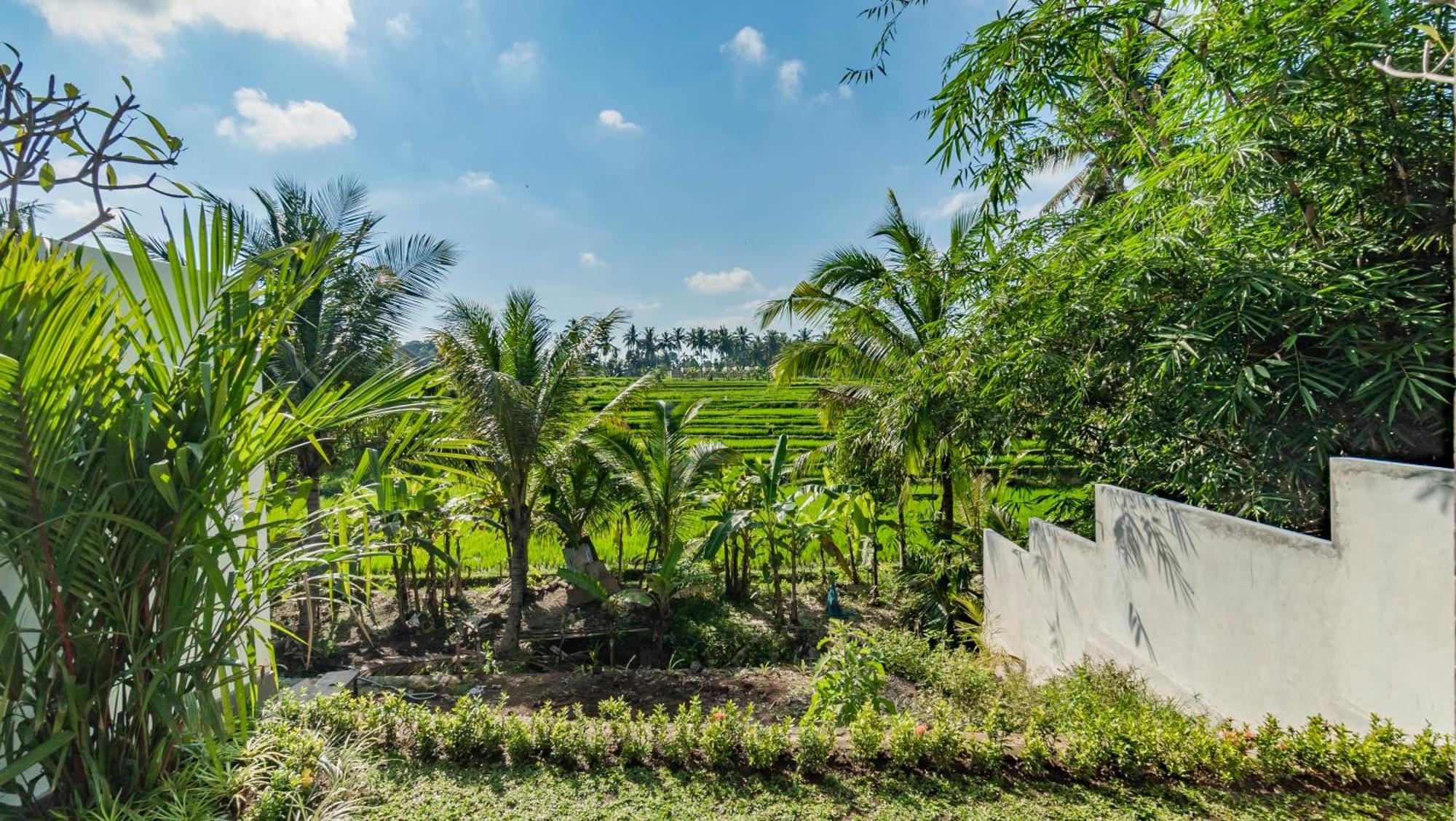 Padi Luwih Villa Ubud Kültér fotó