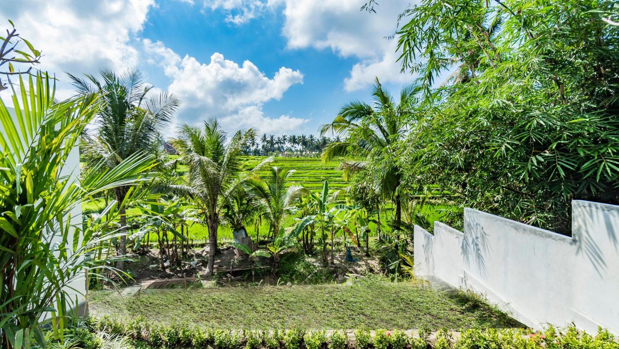 Padi Luwih Villa Ubud Kültér fotó